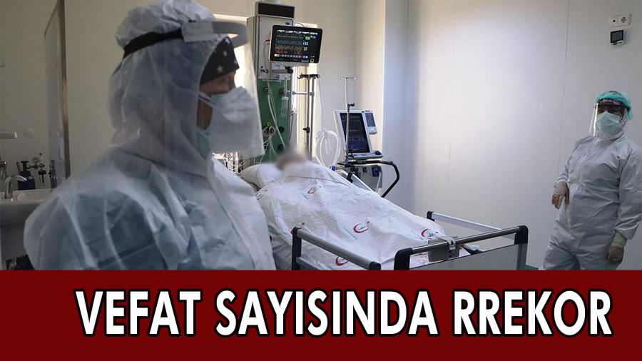 VEFAT SAYISINDA RREKOR 220