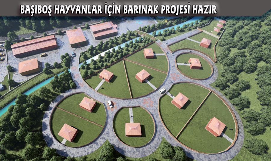 BAŞIBOŞ HAYVANLAR İÇİN BARINAK PROJESİ HAZIR