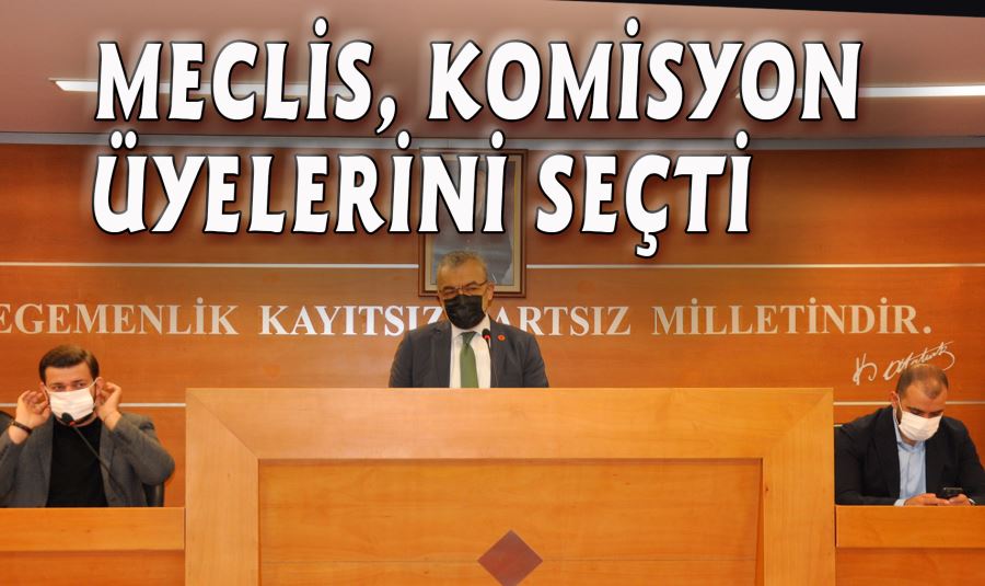 MECLİS, KOMİSYON ÜYELERİNİ SEÇTİ