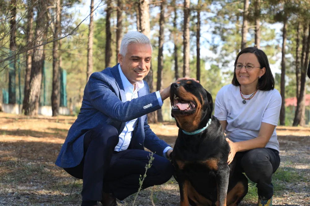 İETT KAPILARINI PATİLİ DOSTLARINA AÇTI