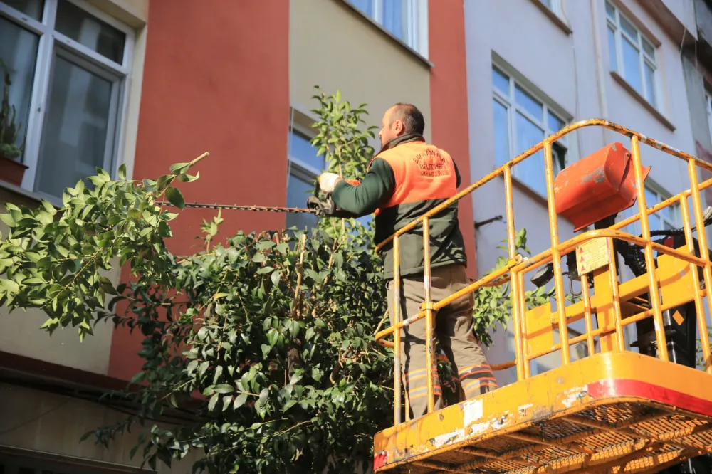 BAYRAMPAŞA’DA BUDANAN AĞAÇLAR EVLERİ ISITIYOR