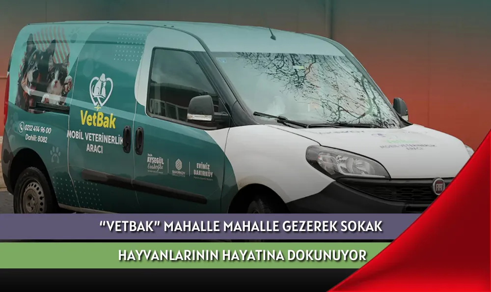 “VETBAK” MAHALLE MAHALLE GEZEREK SOKAK HAYVANLARININ HAYATINA DOKUNUYOR