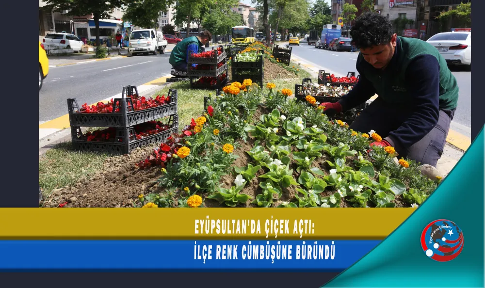EYÜPSULTAN ÇİÇEK AÇTI: İLÇE RENK CÜMBÜŞÜNE BÜRÜNDÜ