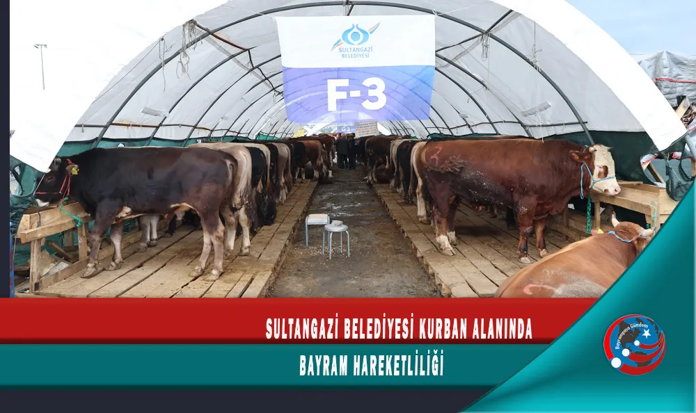 SULTANGAZİ BELEDİYESİ KURBAN ALANINDA BAYRAM HAREKETLİLİĞİ 