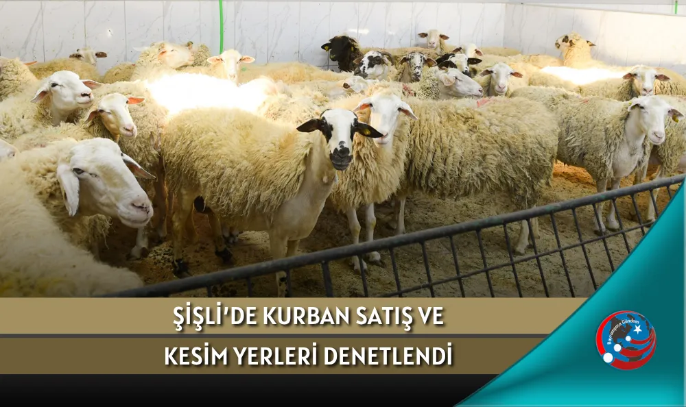 ŞİŞLİ’DE KURBAN SATIŞ VE KESİM YERLERİ DENETLENDİ