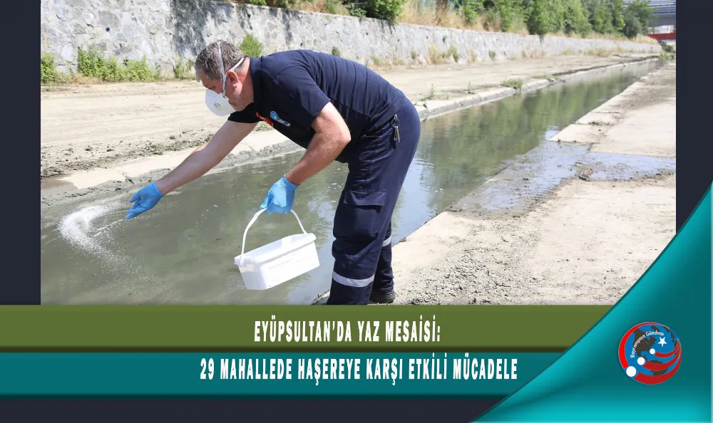 EYÜPSULTAN’DA YAZ MESAİSİ: 29 MAHALLEDE HAŞEREYE KARŞI ETKİLİ MÜCADELE