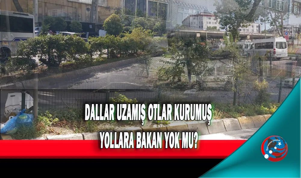 DALLAR UZAMIŞ OTLAR KURUMUŞ, YOLLARA BAKAN YOK MU?