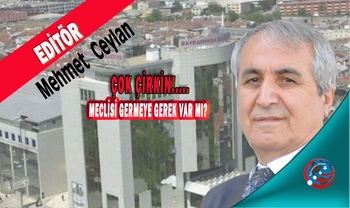 DİVAN, BAŞKAN, BAŞKAN VEKİLİ: NE FARKI VAR? MECLİSİ GERMEYE GEREK VAR MI?