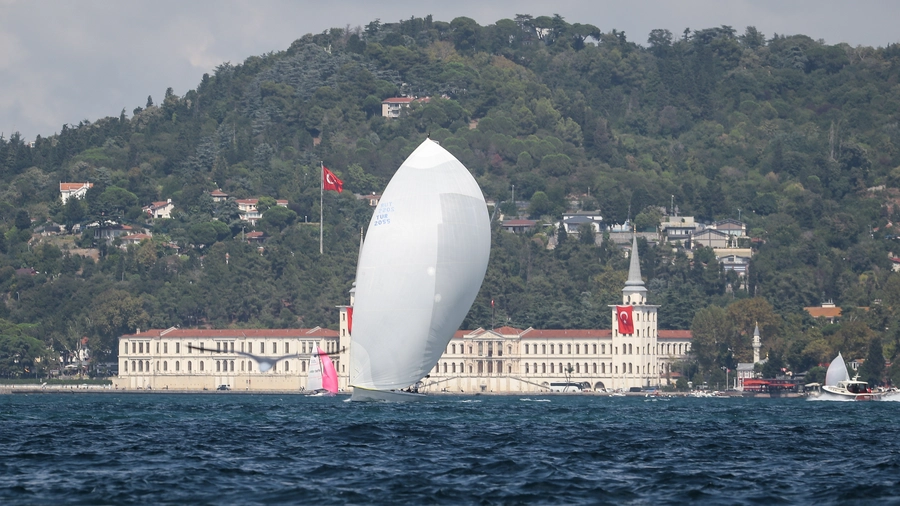 wspor