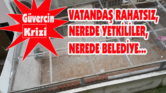 VATANDAŞ RAHATSIZ NEREDE YETKİLİLER 